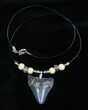Megalodon Tooth Necklace #3890-1